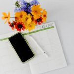 Les meilleures solutions pour vous débarasser d'un virus sur un iPhone...