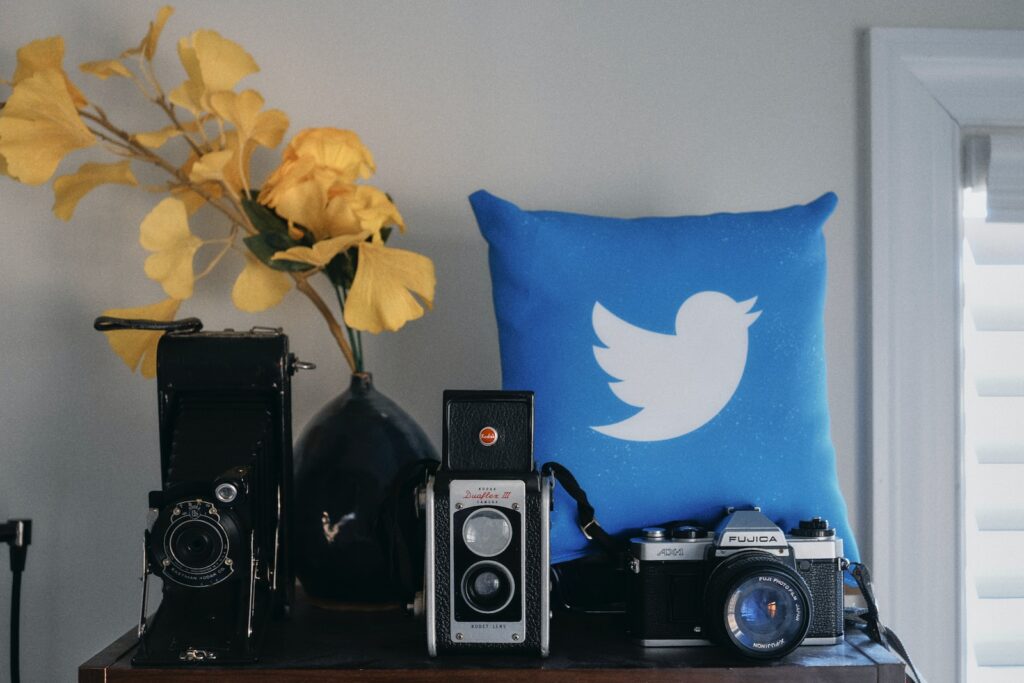 Comment récupérer l’oiseau bleu Twitter