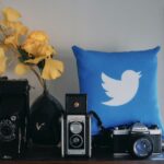 Comment récupérer l’oiseau bleu Twitter...